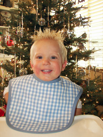 Family Kitchen Blue Back Bib